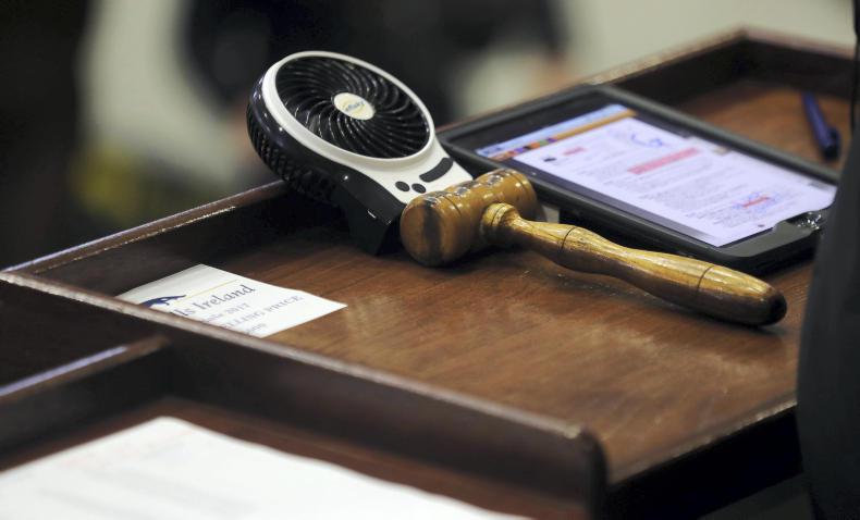 Top honours shared on second day of August National Hunt Sale