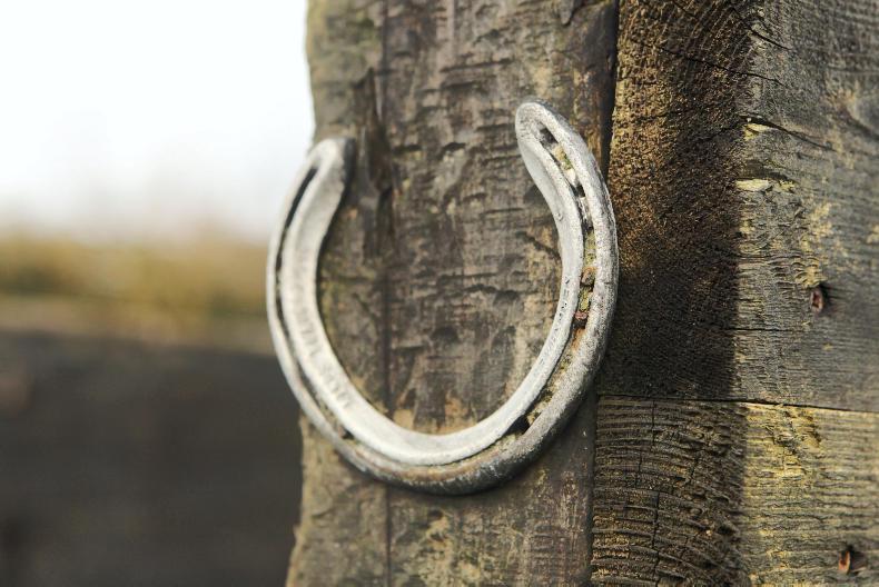 MARGIE McLOONE: Take a trip to Templepatrick 