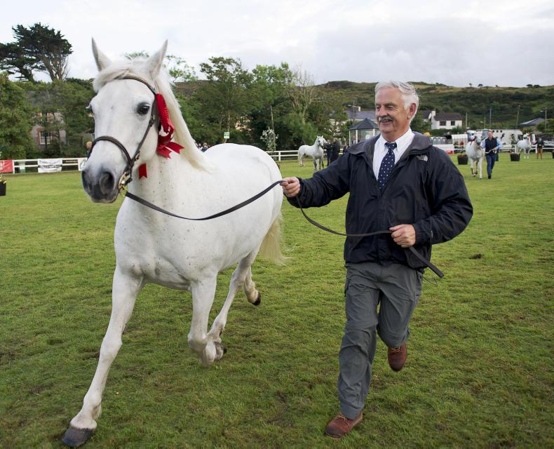 NEWS:  Poise Melody strikes right note at Clifden