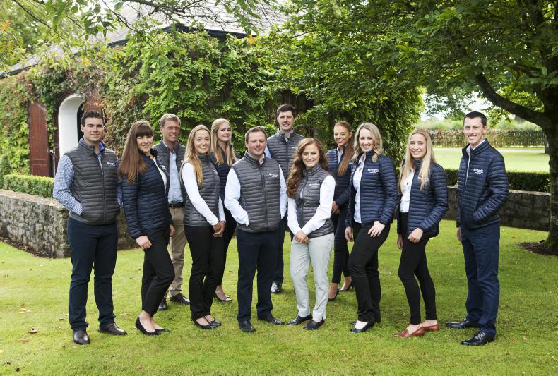 NEWS: Godolphin Flying Start trainees arrive at Kildangan