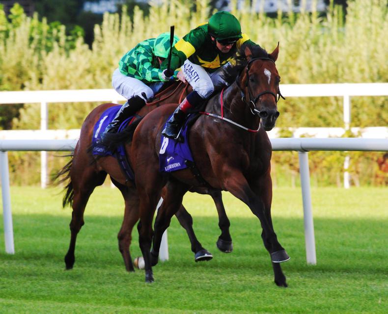 LEOPARDSTOWN THURSDAY: Remarkable recovery for Alexios Komnenos 