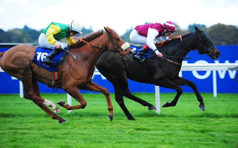 Sir Ector still a force to be reckoned with