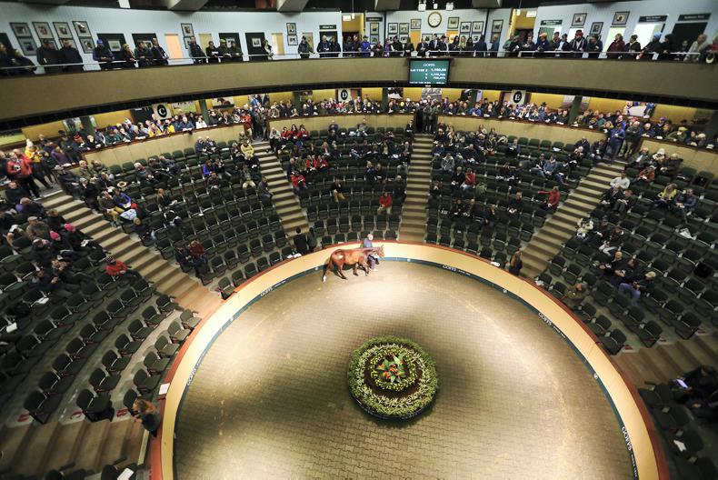 Goffs Group 2018 Sales Dates Announced