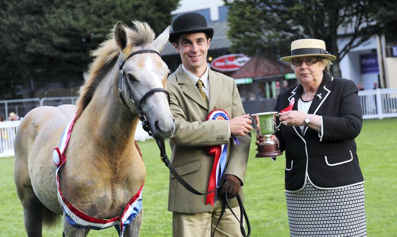 LETTER TO THE EDITOR:   Restorative action needed to preserve Irish Draughts