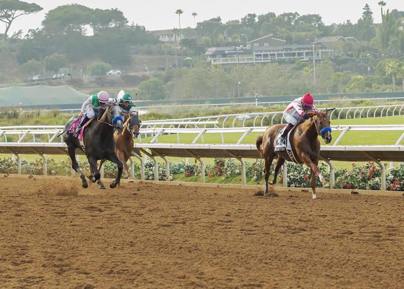 SIMON ROWLANDS: World's best produced mixed performances