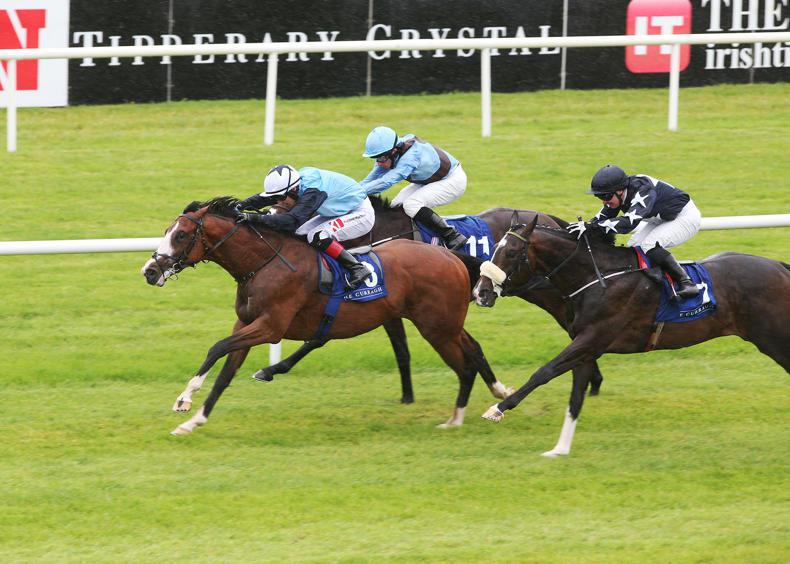 An Oasis emerges for this Desert