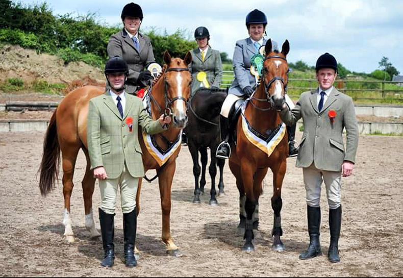 VIEW FROM ABOVE: Down Royal champions heading for Kilkenny final