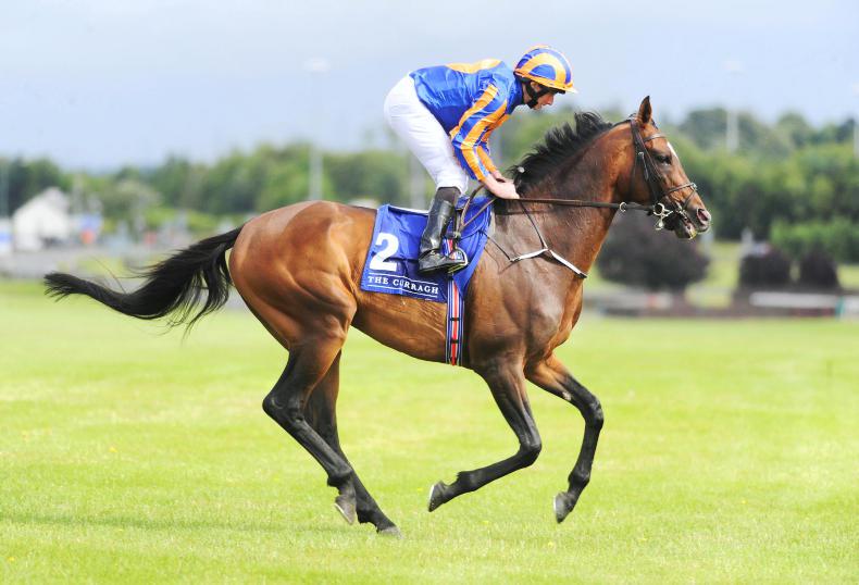 DONN McCLEAN: Order has been restored