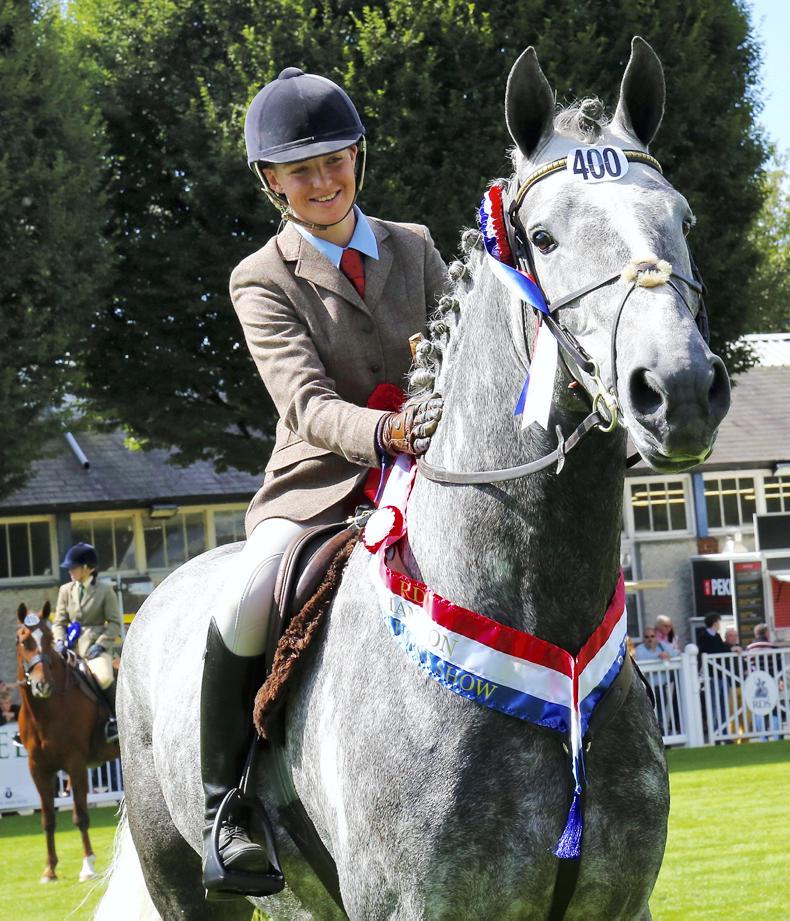 PONY TALES:  Arena UK honours for Gortfree Lakeside Lad  