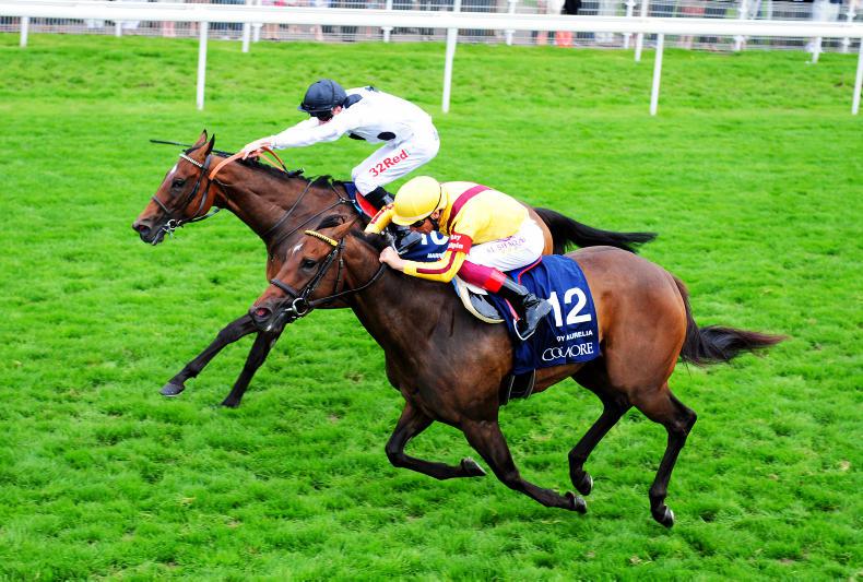 BRITAIN: Marsha rips up the script in classic Nunthorpe