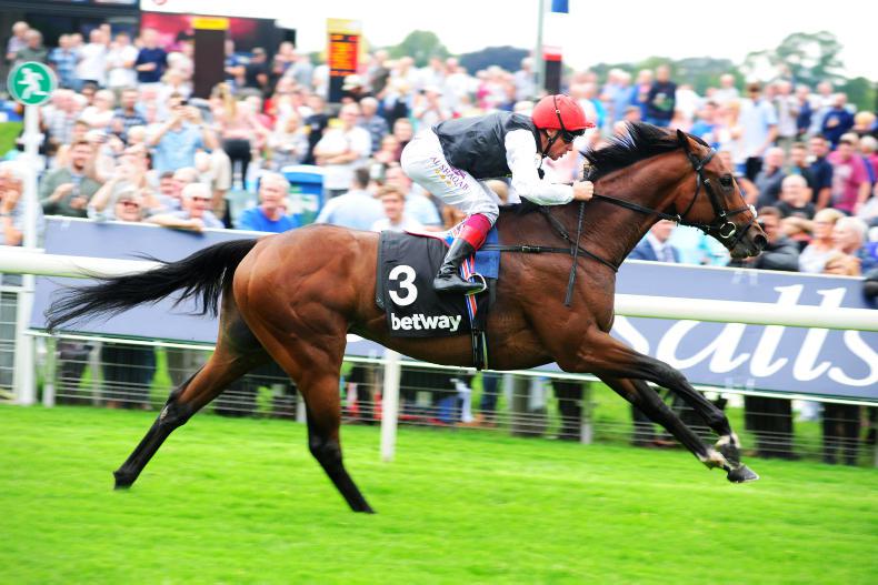 BRITAIN: Cracking the Knavesmire                                       