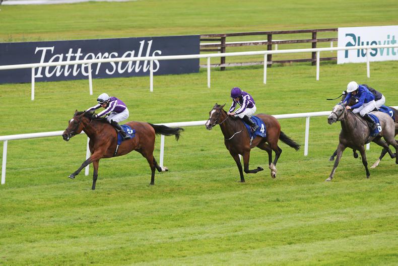 CURRAGH SUNDAY: It's a Magical day for the O'Briens