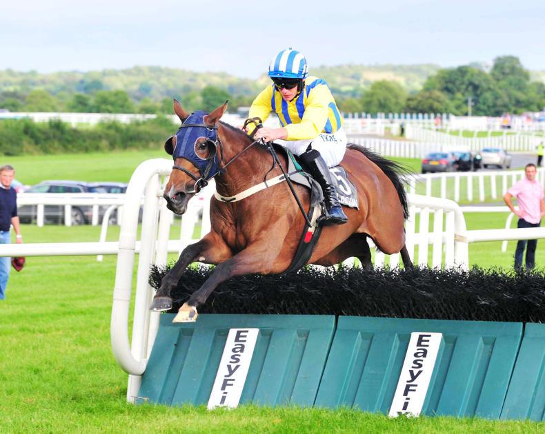 Whiteout stamps her class on Kilbeggan opposition