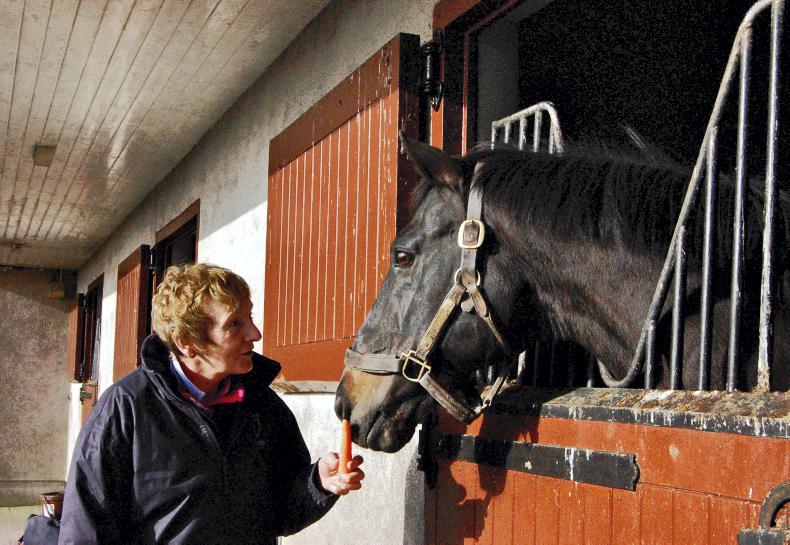 Top National Hunt stallion Presenting dies