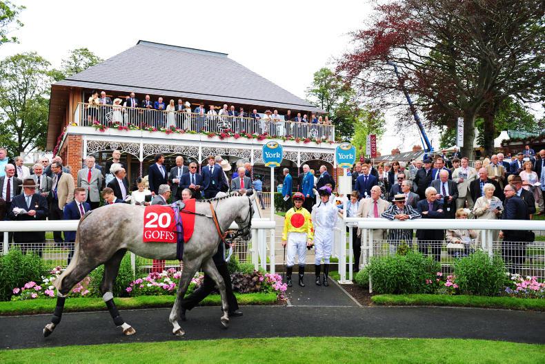 YORK FEATURE: Hats off to York                                                  