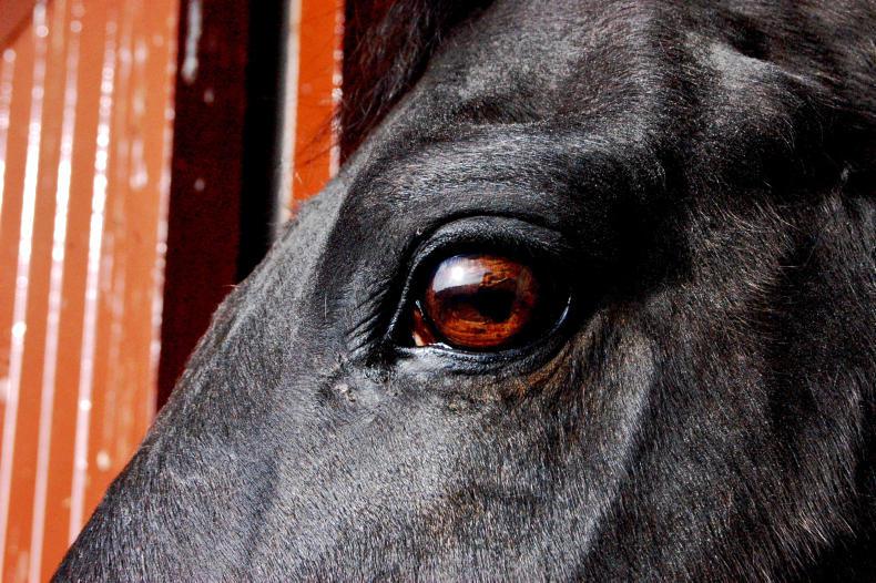 REMEMBERING PRESENTING        