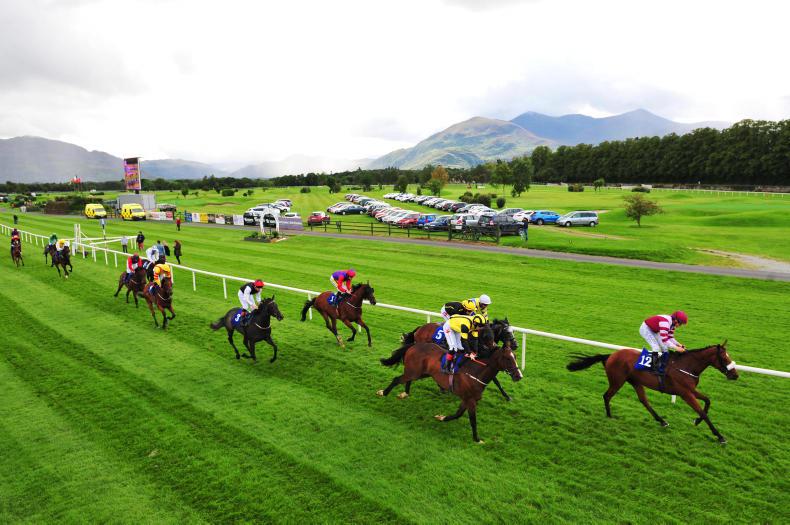 Horse Racing Ireland launches new racehorse ownership website 