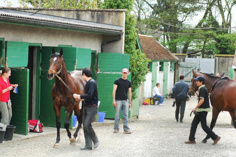 THE WEEK THAT WAS: Trainers need marketing guidelines