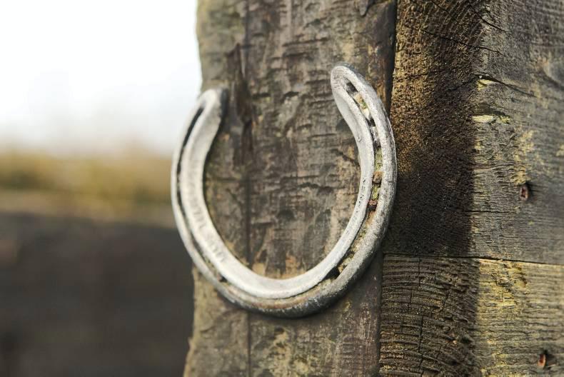 LETTERS TO THE EDITOR:   Long live the Traditional Irish Horse