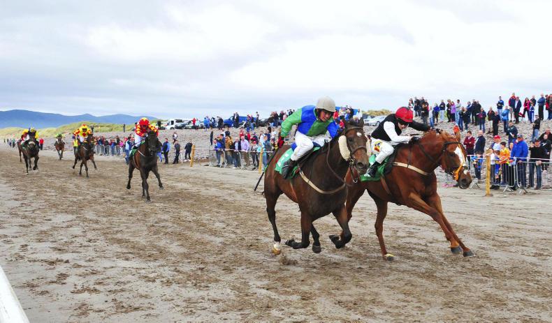 HORSE AND PONY RACING:  James just makes it under Slattery drive