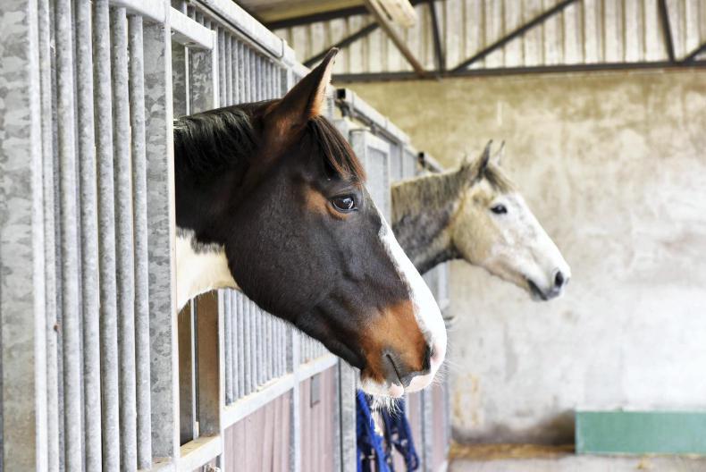Upcoming CAFRE equine courses 