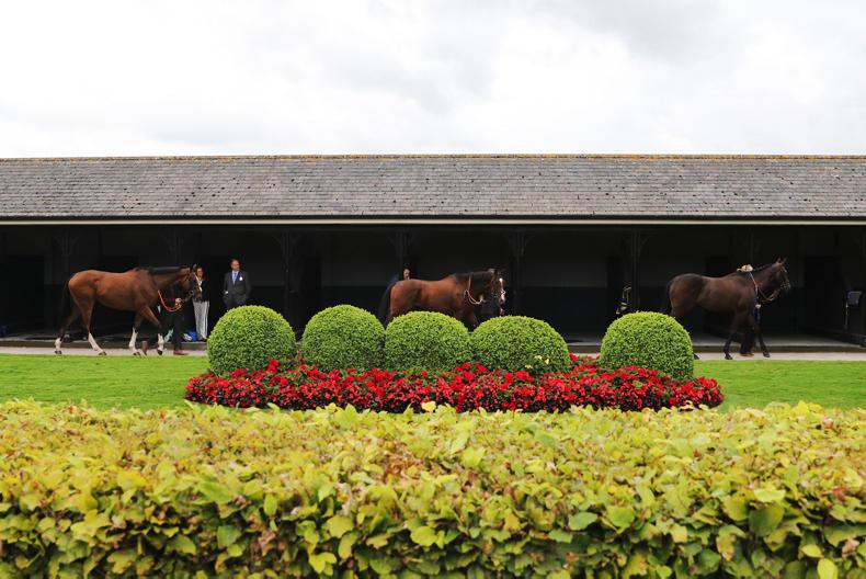 Champion innovations galore at the Curragh