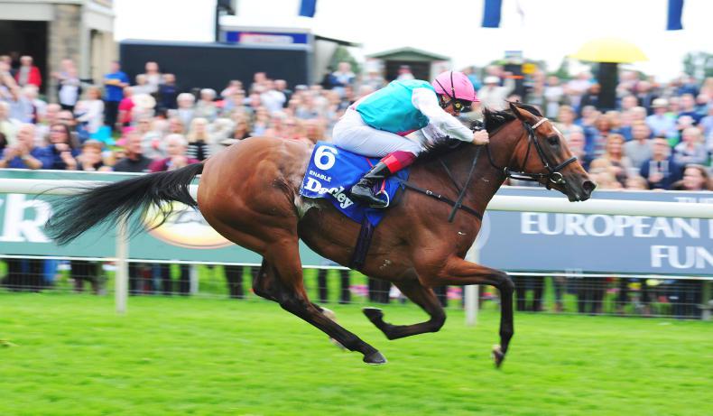 DONN McCLEAN: Arc is Enable’s to lose – apparently 