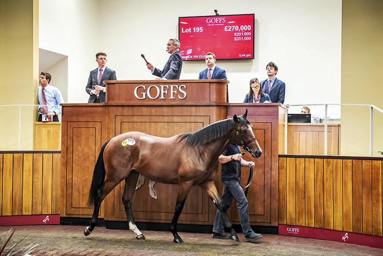 GOFFS UK PREMIER YEARLING SALE: Sparkling trade produces records galore