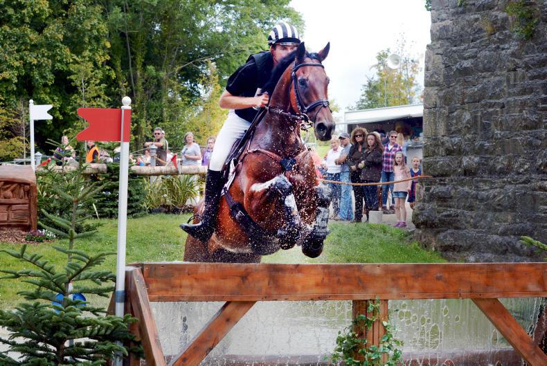 MILLSTREET INTERNATIONAL:  Amsterdam 21 bounces back to win for Campbell
