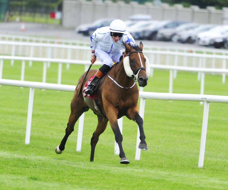 Takashi's Time in Cambridgeshire