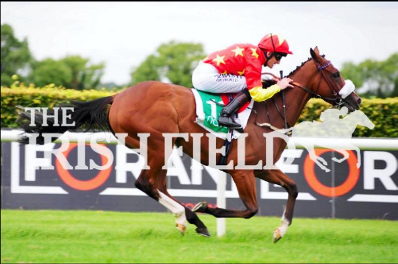 Blue Uluru scoops good pot at Navan