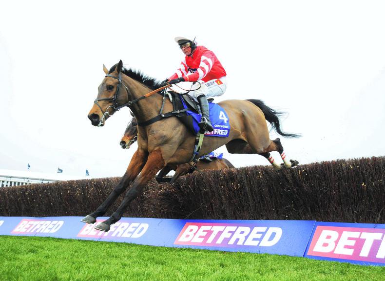 <h1> Royal Ascot Racing News from The Irish Field </h1>