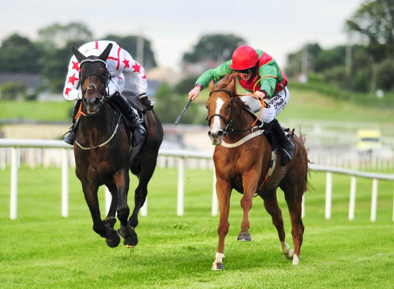 <h1> Royal Ascot Racing News from The Irish Field </h1>