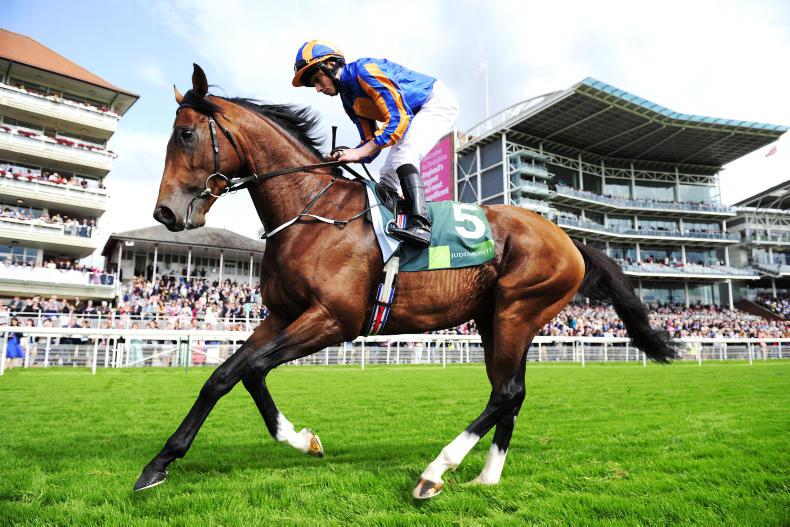 <h1> Royal Ascot Racing News from The Irish Field </h1>