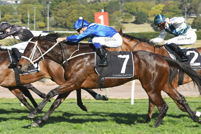 SIMON ROWLANDS: Wonderful Winx impresses on the clock again