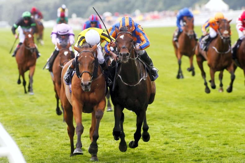 IRISH CHAMPIONS WEEKEND: Gold Cup rematch is on