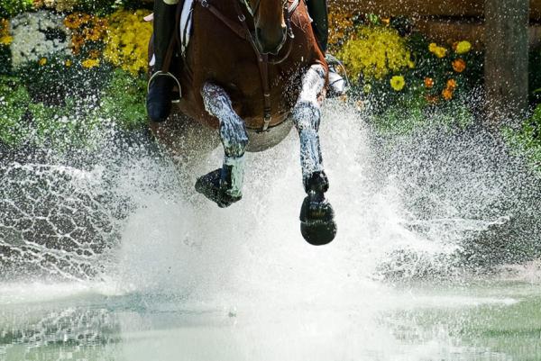 Emelie Larkin wins in Deauville