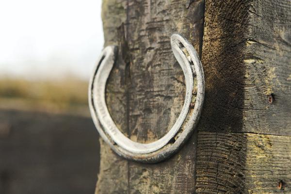 Limerick student wins global Alltech award