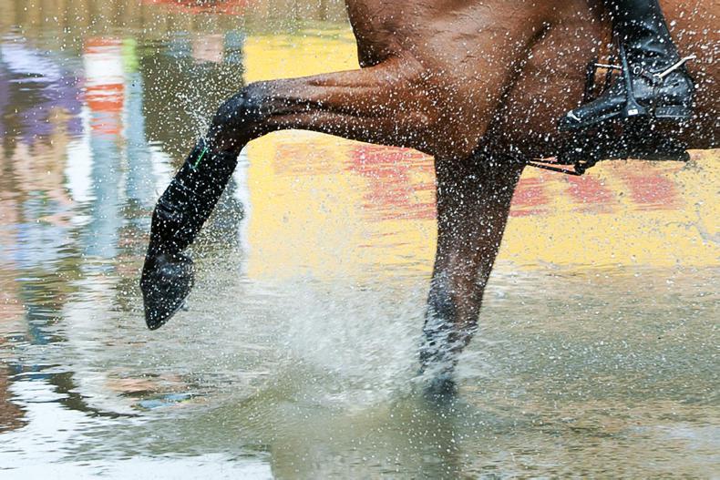 PONY CLUB: Jockey skills training 