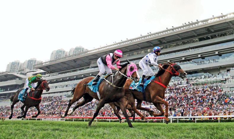 HONG KONG: Expert tips for Sha Tin on Sunday                        