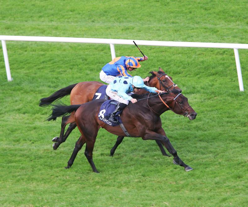 RACEBETS:  50/1 on Irish-trained horses to win big on Irish Champions Weekend 