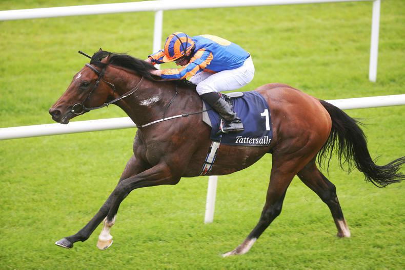 LEOPARDSTOWN SATURDAY: Churchill looks Champion