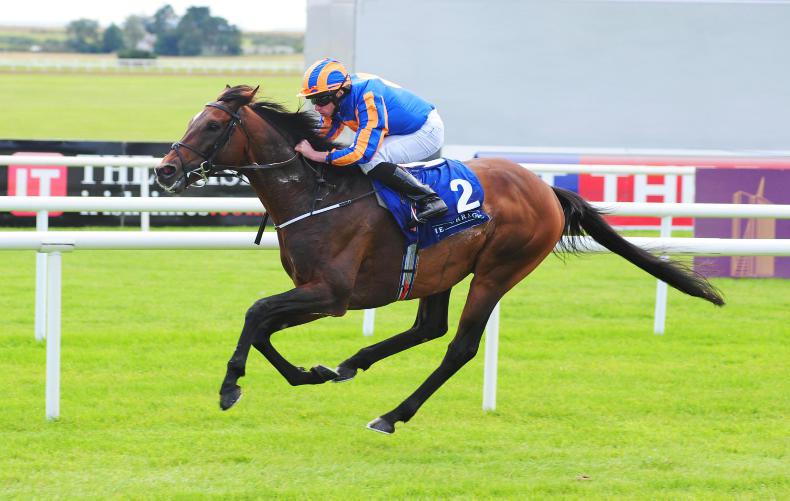 <h1> Royal Ascot Racing News from The Irish Field </h1>