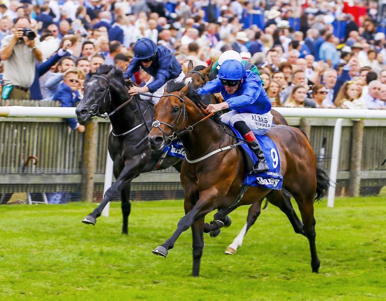 BRITISH PREVIEW: Torcello can cut down rivals at Ascot
