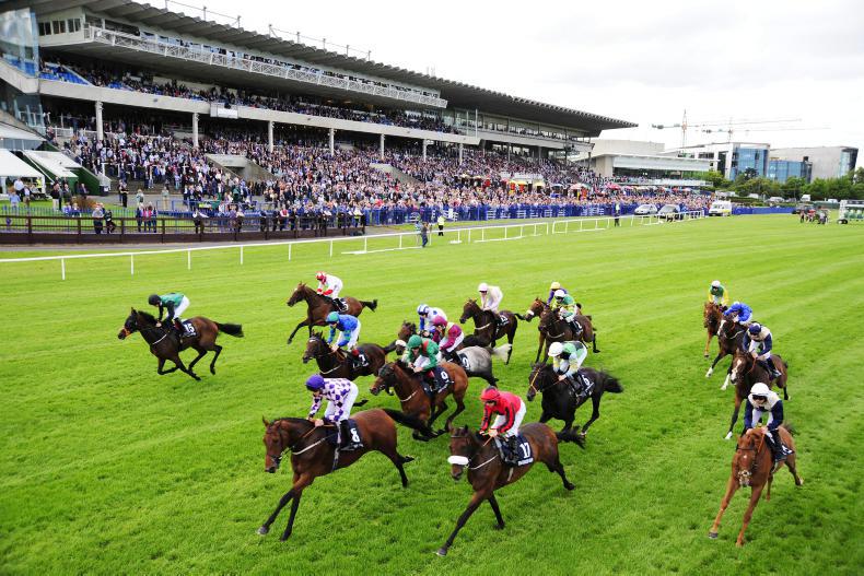 What's in The Irish Field this weekend?