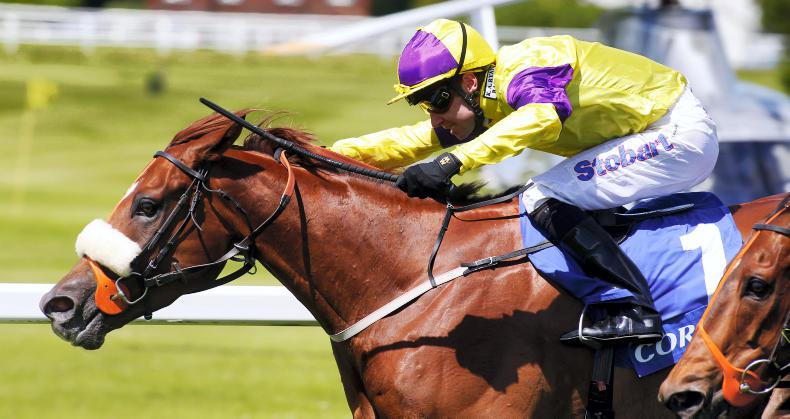 Aidan O'Brien runs two in Saturday's Haydock Sprint Cup