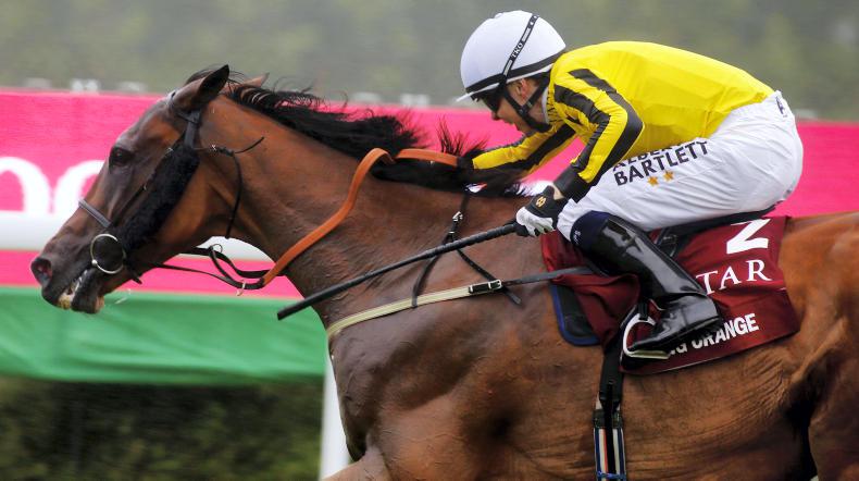 Michael Bell forced to abandon Irish St Leger plans with Big Orange