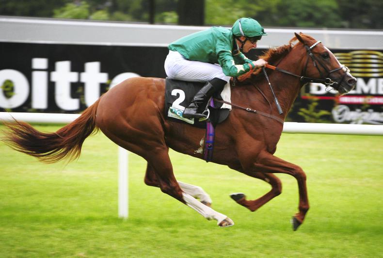 Decorated Knight claims top honours in Irish Champion thriller