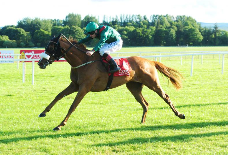 Nelson storms to victory as O'Brien juveniles dominate