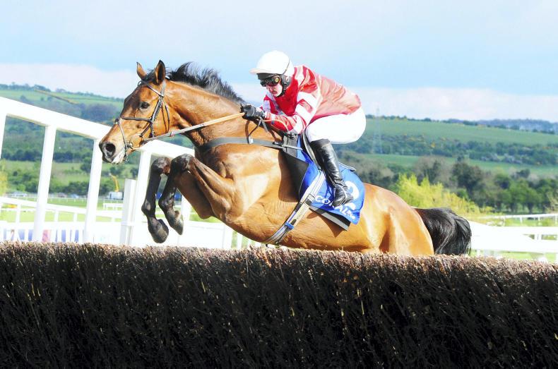 Bradstock team rule out Kerry National challenge for Coneygree